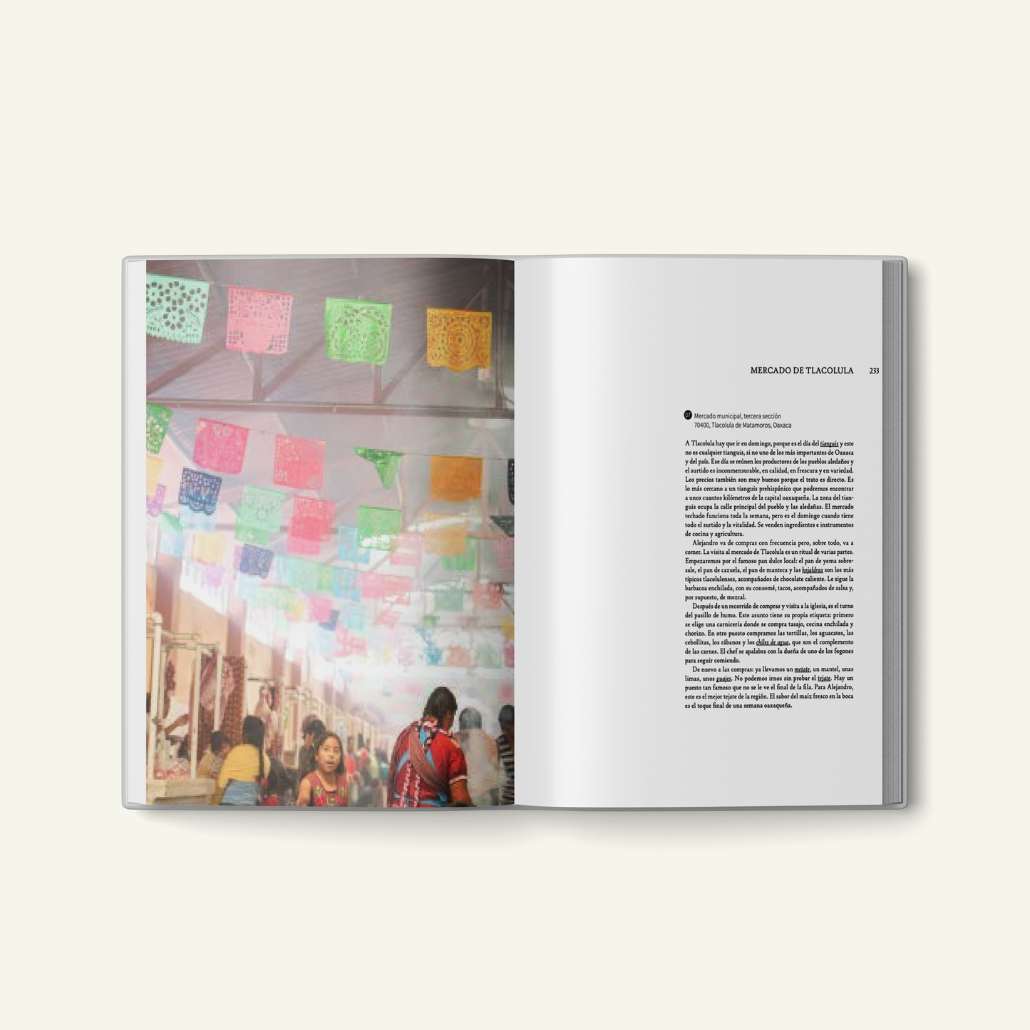 Alejandro Ruiz. Cocina de Oaxaca