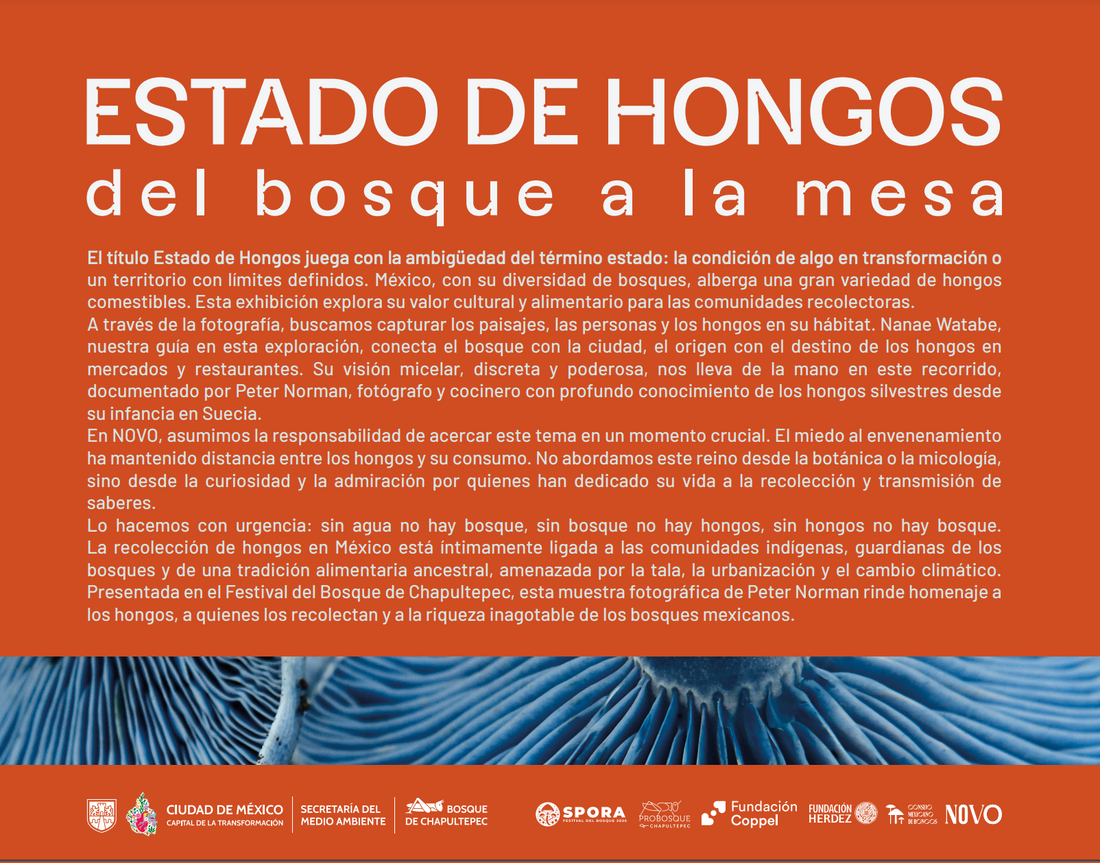 Estado de Hongos en Chapultepec