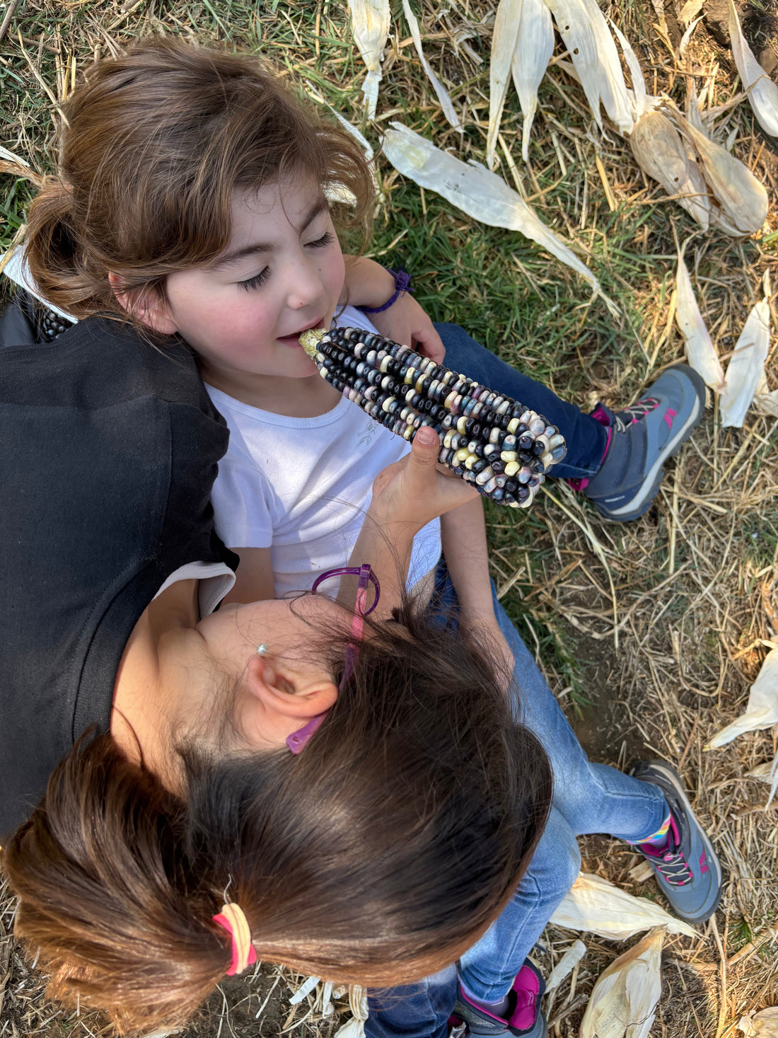 Infancias jugando en la milpa