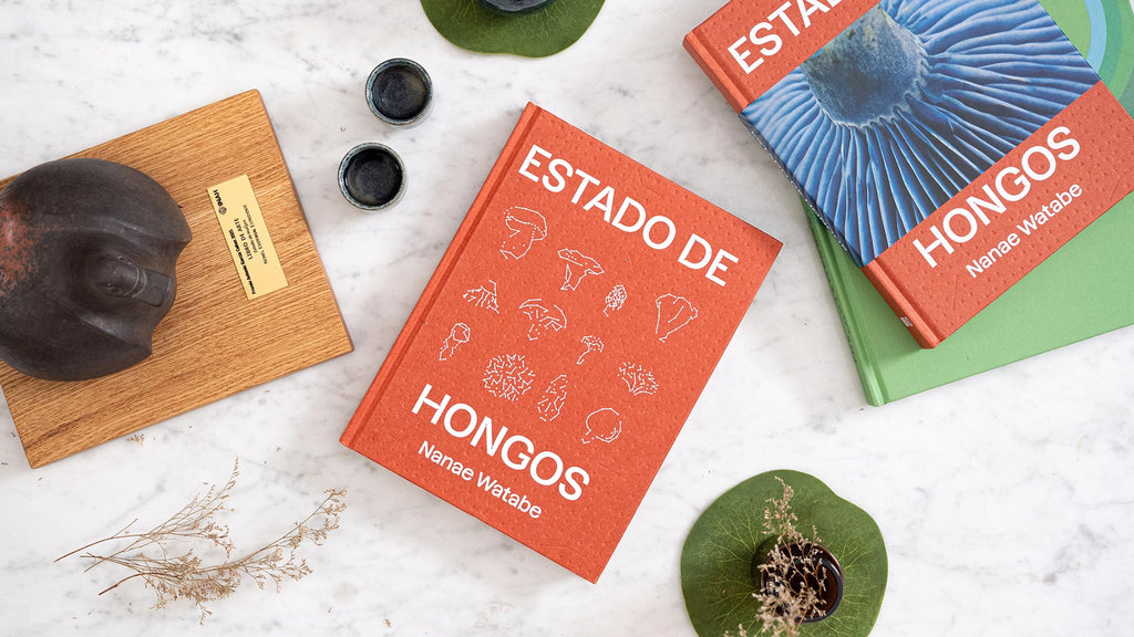 ESTADO DE HONGOS