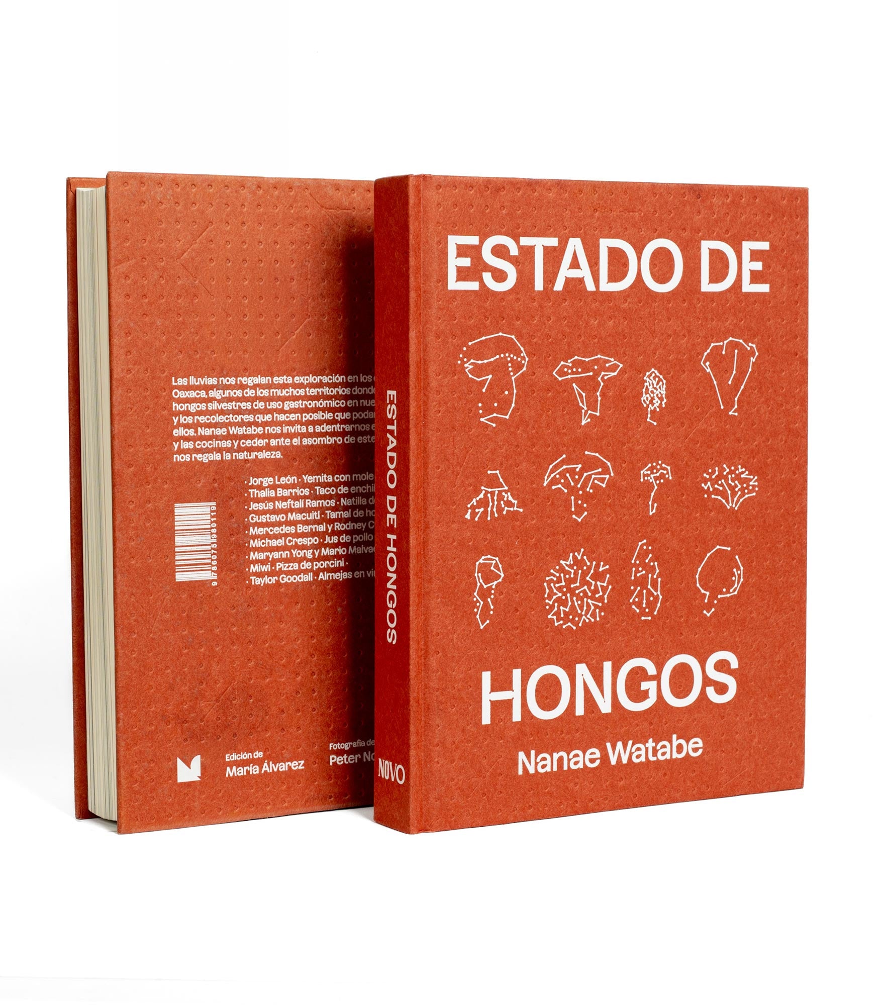 ESTADO DE HONGOS